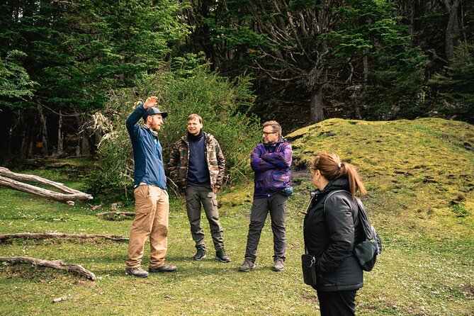 Tierra del Fuego National Park – Small Groups. Optional Train - The van ride and small-group rhythm