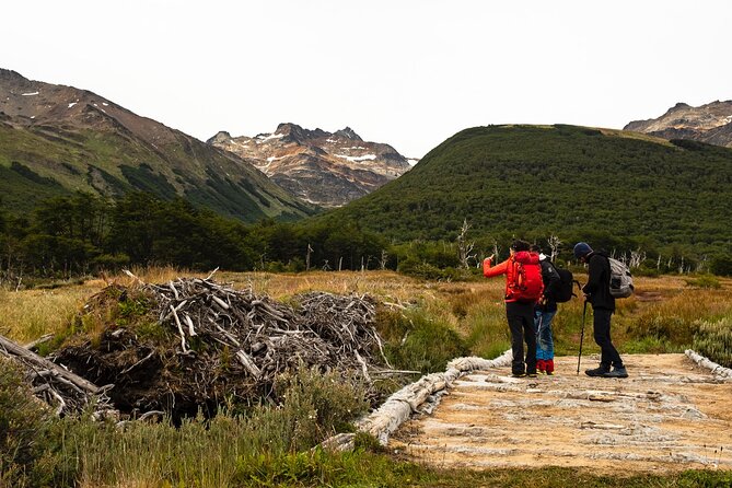 Tierra del Fuego National Park with the End of the World Train - The End of the World Train and its prison story