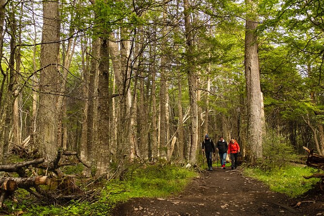 Tierra del Fuego National Park with the End of the World Train - How good is the guide service?