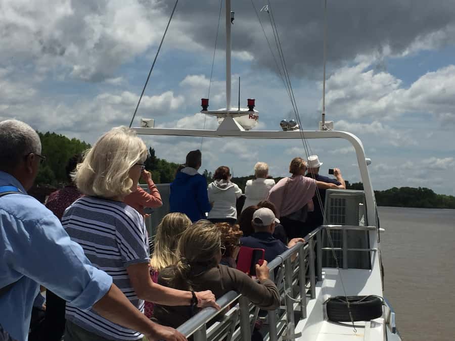 Tigre Delta: Half-Day Tour and Boat Trip - Entering the Tigre Delta by catamaran