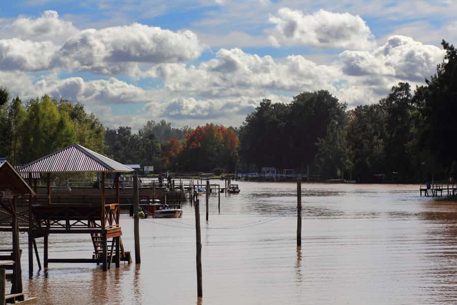 Tigre: River Delta Panoramic Boat Tour - Tigre Delta Boat Tour: Key Points