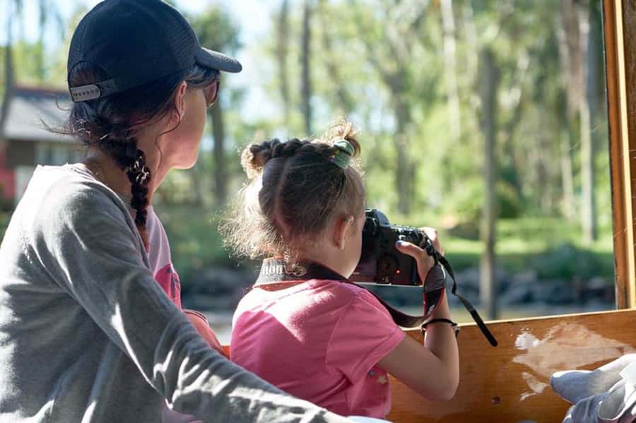 Tigre: River Delta Panoramic Boat Tour - Cruising the Luján River First