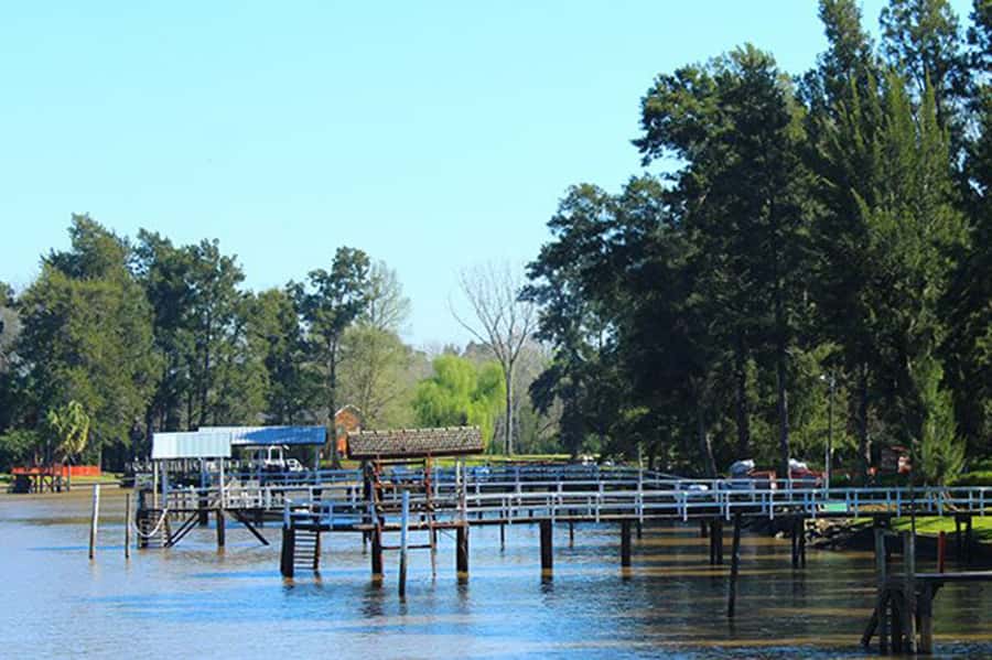 Tigre: River Delta Panoramic Boat Tour - The Sarmiento River and Upper-Deck Views