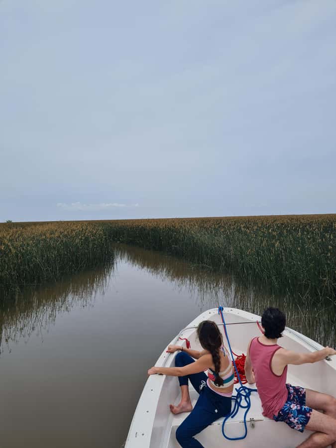 Tigre: Safari Náutico en Tigre/ Biosphere Reserve Boat Tour - The parts of the tour that matter most