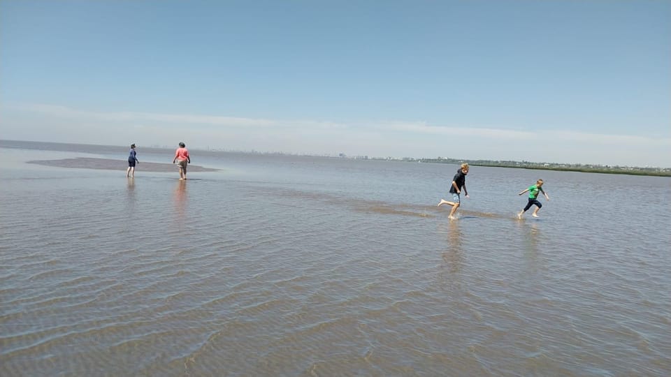 Tigre: Safari Náutico en Tigre/ Biosphere Reserve Boat Tour - Puerto de Frutos and the return through Tigre
