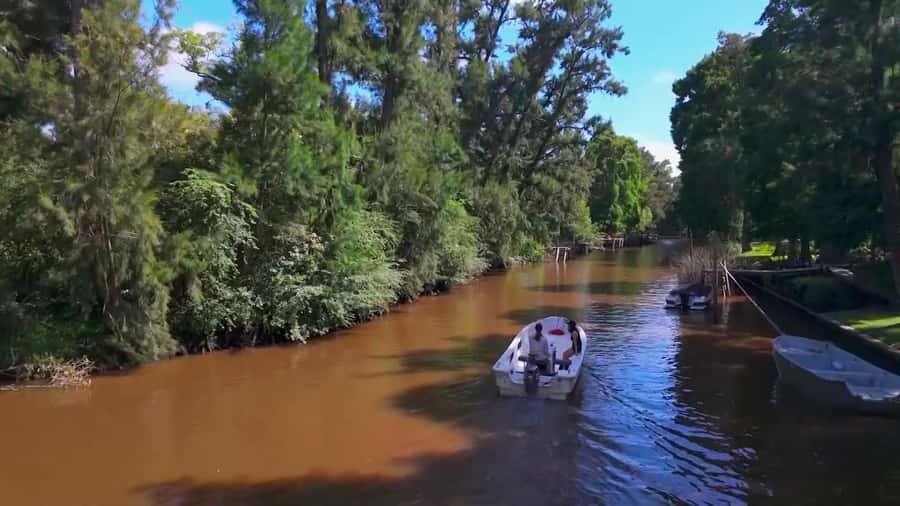 Tigre: Safari Náutico en Tigre/ Biosphere Reserve Boat Tour - Starting near Tigre station
