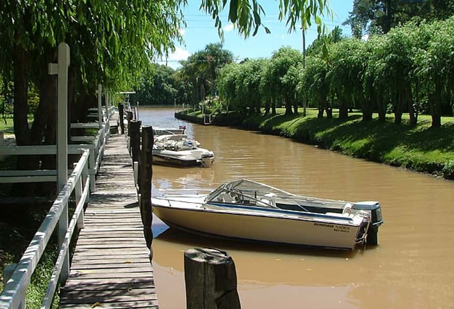 Tigre with Lunch overlooking the River and Navigation - Who will get the most from this $200 day?
