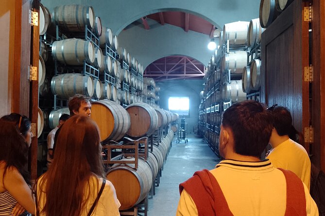 Top Rated: Winery Tour with Lunch in Mendoza - Who will enjoy this day most?