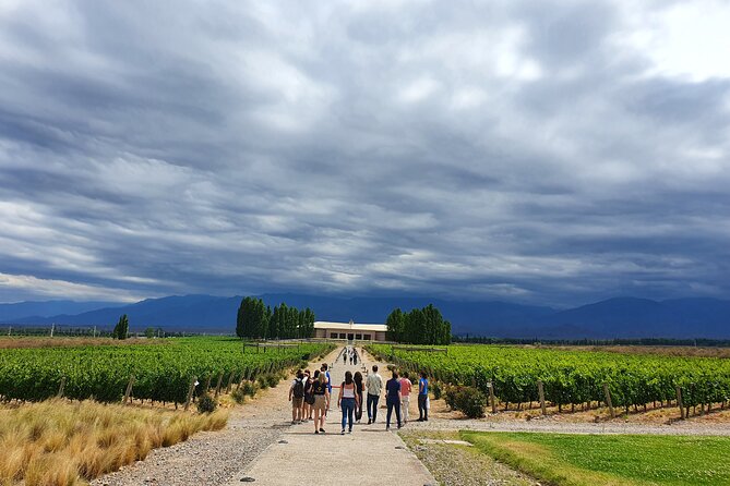 Top Rated: Winery Tour with Lunch in Mendoza - The second winery adds a longer tasting stop