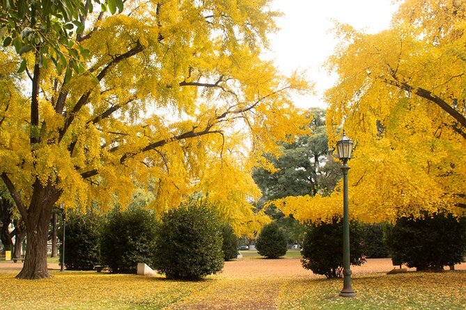 Tour a pie de Historia y Naturaleza por Palermo - The Japanese Garden and the return to Plaza Italia