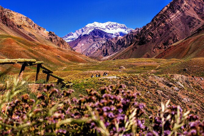 Tour Aconcagua Park in Small Group from Mendoza with Barbecue Lunch - From Mendoza vineyards to Cacheuta’s mountain valley