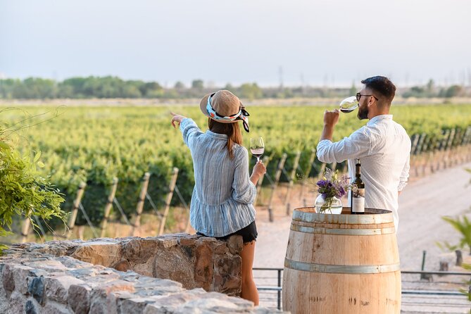 Tour and Tasting in 3 Wineries and 1 Olive Tree in Maipu - The Essentials at a Glance
