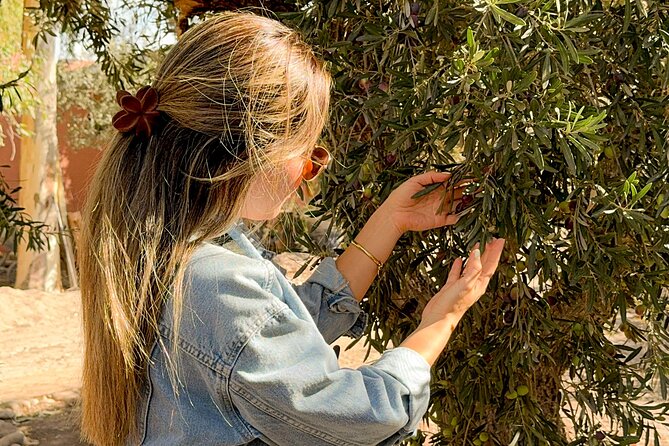 Tour and Tasting in 3 Wineries and 1 Olive Tree in Maipu - Why Maipu Makes Sense for a First Wine Tour