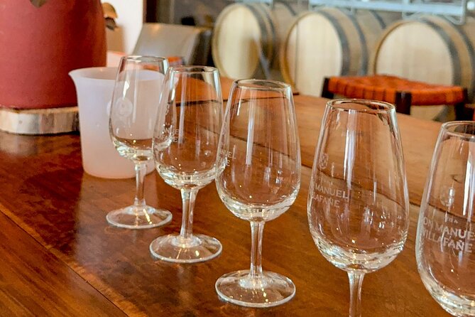 Tour and Tasting in 3 Wineries and 1 Olive Tree in Maipu - Stop One: Organic Wine at Familia Cecchin