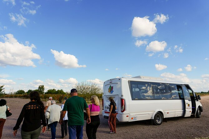 Tour and Tasting in 3 Wineries and 1 Olive Tree in Maipu - Stop Two: Vistandes and the Wine in the Cellar