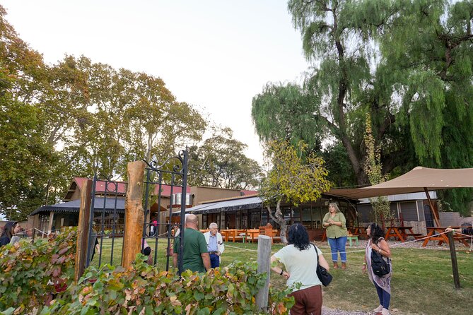 Tour and Tasting in 3 Wineries and 1 Olive Tree in Maipu - Stop Three: Pasrai Olive Oil and the Centennial Tree