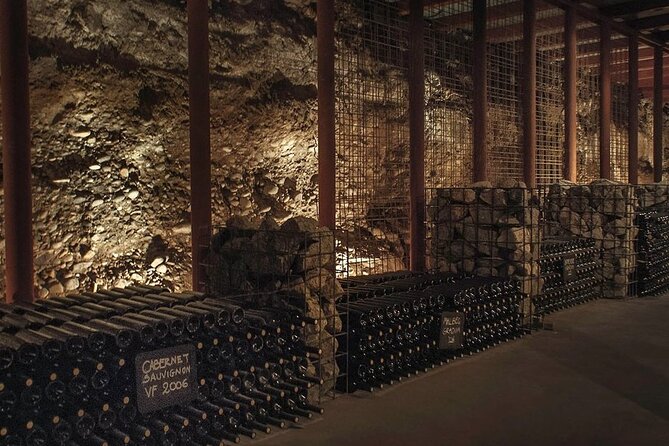Tour and Tasting in 3 Wineries and 1 Olive Tree in Maipu - Stop Four: Florio and the Sweet Wine Finish