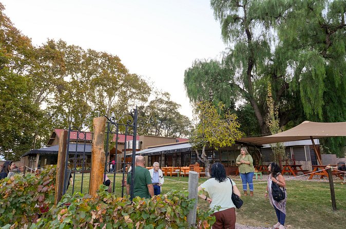 Tour and Tasting in 3 Wineries and 1 Olive Tree in Maipu - What the Tastings Are Really Like