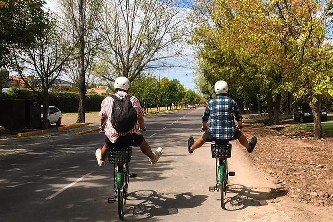 Tour autoguiado en bicicleta por Luján de Cuyo (Mendoza) - Why this bike tour works for independent visitors