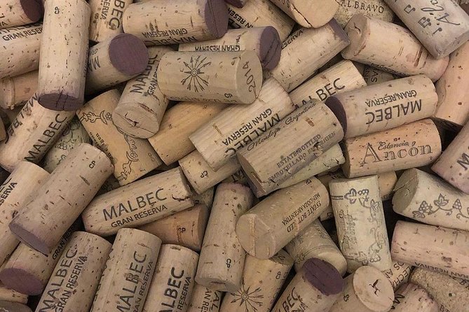 Tour autoguiado en bicicleta por Luján de Cuyo (Mendoza) - Viamonte Winery: a possible first tasting