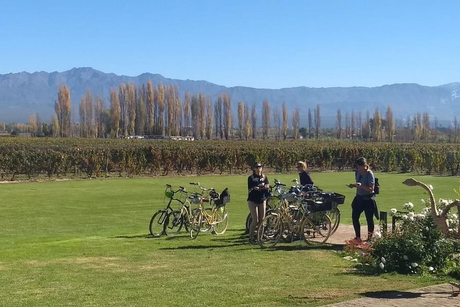 Tour autoguiado en bicicleta por Luján de Cuyo (Mendoza) - Weinert and Pulmary: options for a less fixed plan