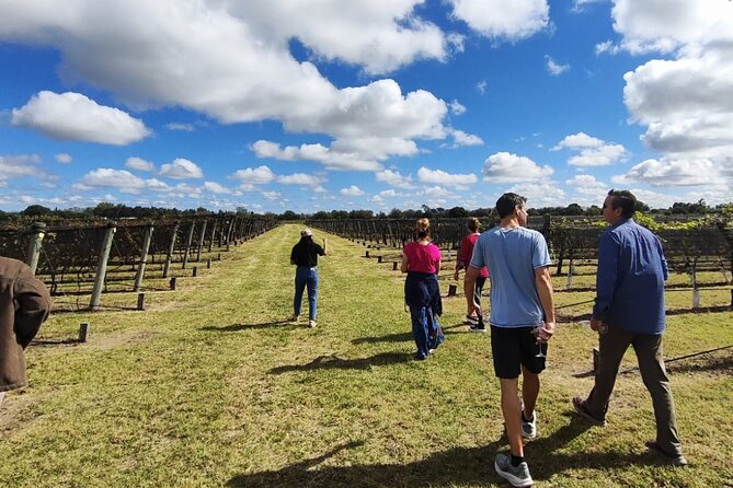Tour for Jesuit Experience and Wines - The best fit for this experience