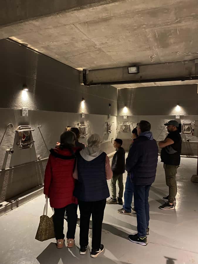 Tour of 3 wineries in Maipú with lunch + olive groves - Key points to know before booking
