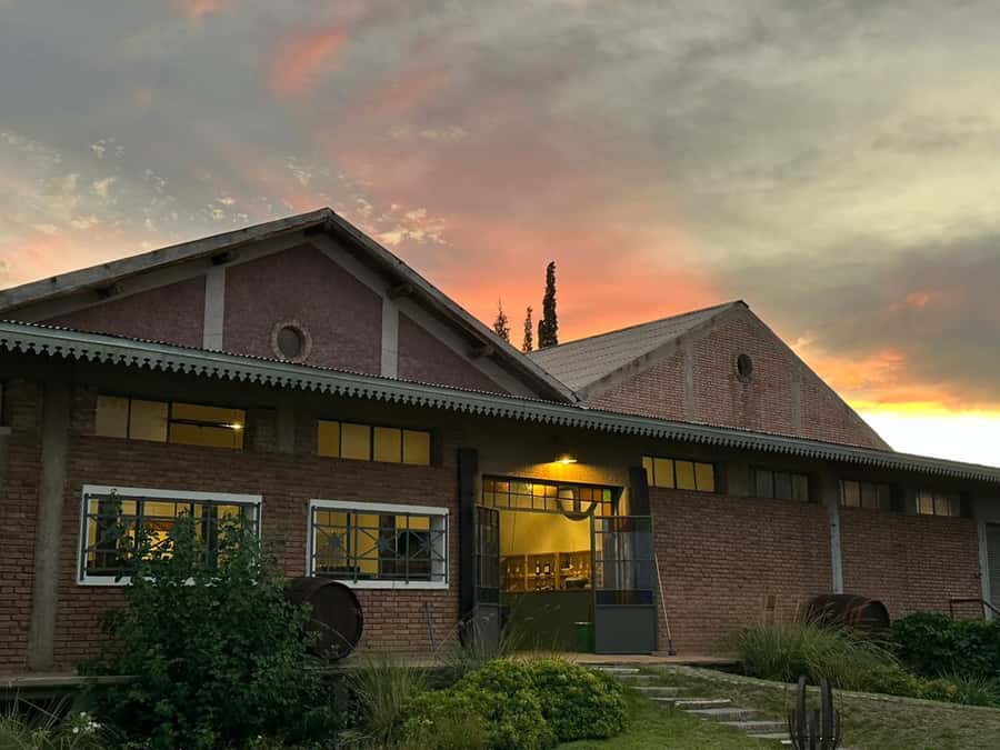 Tour of 3 wineries in Maipú with lunch + olive groves - Leaving Mendoza for Maipú’s wine roads