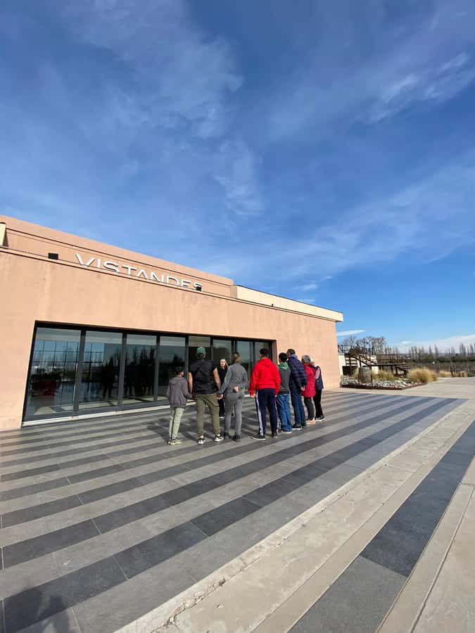 Tour of 3 wineries in Maipú with lunch + olive groves - The final winery and the two-hour lunch