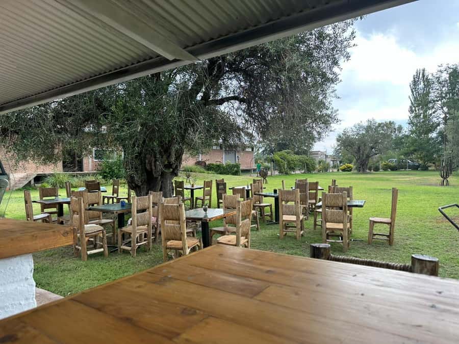 Tour of 3 wineries in Maipú with lunch + olive groves - Transport, language, and the shape of the day