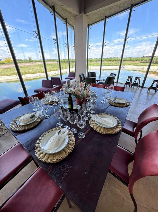 Tour of 3 wineries in Maipú with lunch + olive groves - Who will enjoy this Maipú tour most