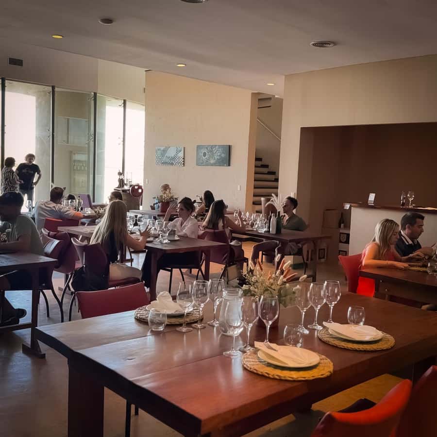 Tour of 3 wineries in Maipú with lunch + olive groves - Practical advice for a better day