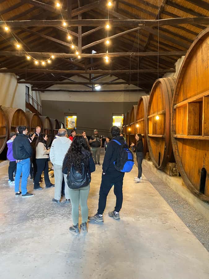 Tour of 3 wineries in Maipú with lunch + olive groves - Should you book the three-winery Maipú experience?