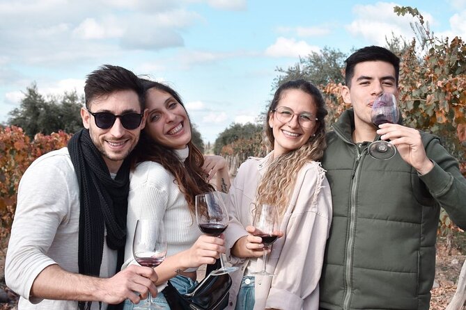Tour Privado: Bodegas por el día en Mendoza - Key points at a glance