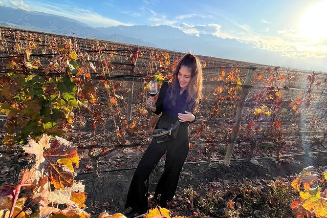 Tour Privado: Bodegas por el día en Mendoza - Why the Uco Valley makes this a worthwhile day