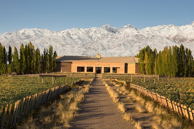 Tour privado free sale con 3 bodegas por la zona de Valle de Uco - Why the Valle de Uco makes a good wine day