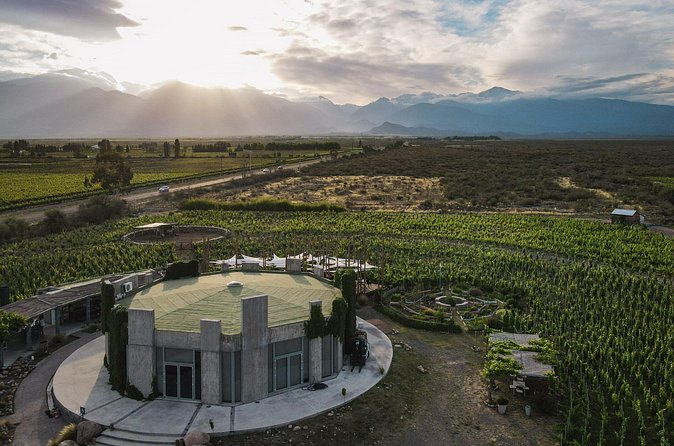 Tour privado free sale con 3 bodegas por la zona de Valle de Uco - Who should choose this wine tour?
