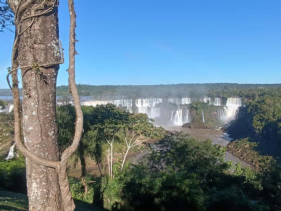Tour Privado -Iguazú Falls Argentinean side + opção de barco - What the private guide adds