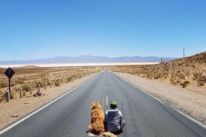 Tour to Cachi from Salta - Los Cardones National Park and its giant cacti