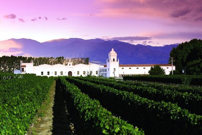 Tour to Cafayate from Salta - Key points to know before booking