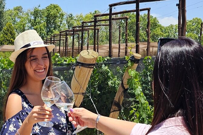 Tour wineries Lujan de Cuyo - What makes this Mendoza wine day special