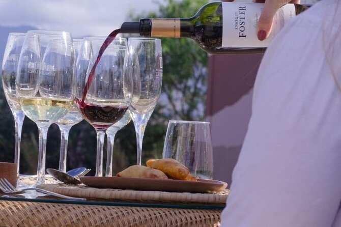 Tour wineries Lujan de Cuyo - Penedo Borges: small-batch wine with Andes scenery