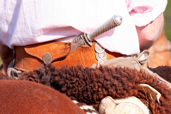 Traditional Gaucho Festival Full Day Tour from Buenos Aires - Who will enjoy this day most?