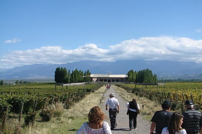 Transfer to Salentein Uco Valley with Lunch and Visit - The art gallery adds a useful change of pace