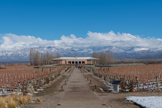 Transfer to Salentein Uco Valley with Lunch and Visit - Practical details before you reserve