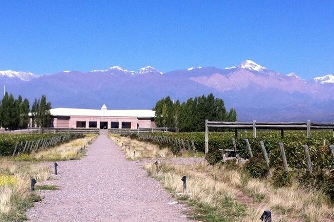 Transfer to Salentein Uco Valley with Lunch and Visit - Arriving at Bodega Salentein near Tupungato