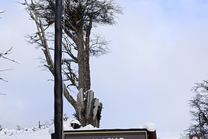 Transfers from the Airport to El Calafate with City Tour - What the ride feels like on the road
