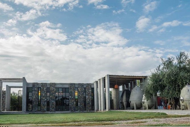 Trapiche and Lunch The Enemy (Michelin) + Private transportation - Why this Mendoza wine day works