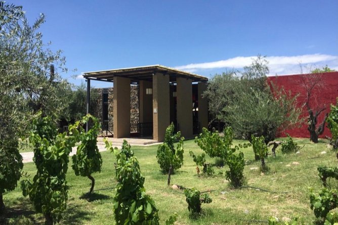 Trapiche and Lunch The Enemy (Michelin) + Private transportation - The wine pairing and food value