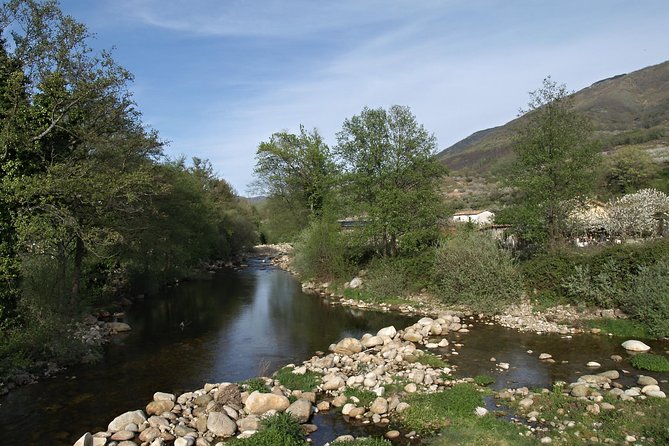 Traslasierra Valley Escapade: A Day Trip from Cordoba - Returning through Bosque Alegre